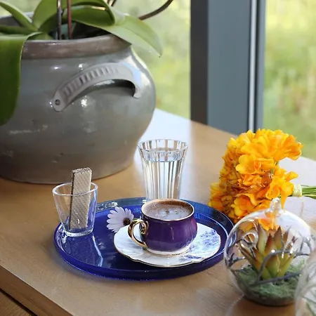 Szálloda Eskiceshme Marina (adults Only) Bodrum