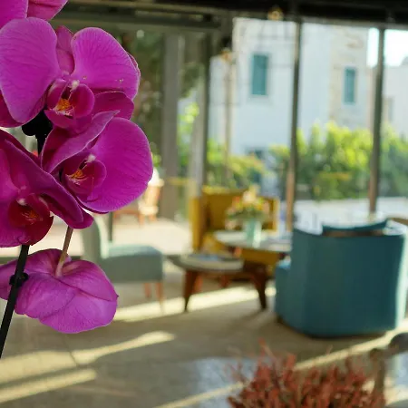 Eskiceshme Marina (adults Only) 2* بودروم